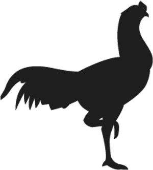 Pheasants - Chicken Vector Silhouette Png (480x360)