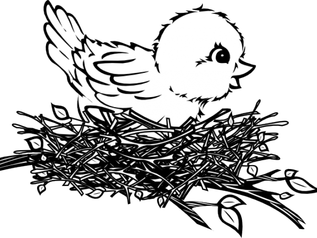 Nest Clipart Sparrow Nest - Bird In Nest Drawing (640x480)