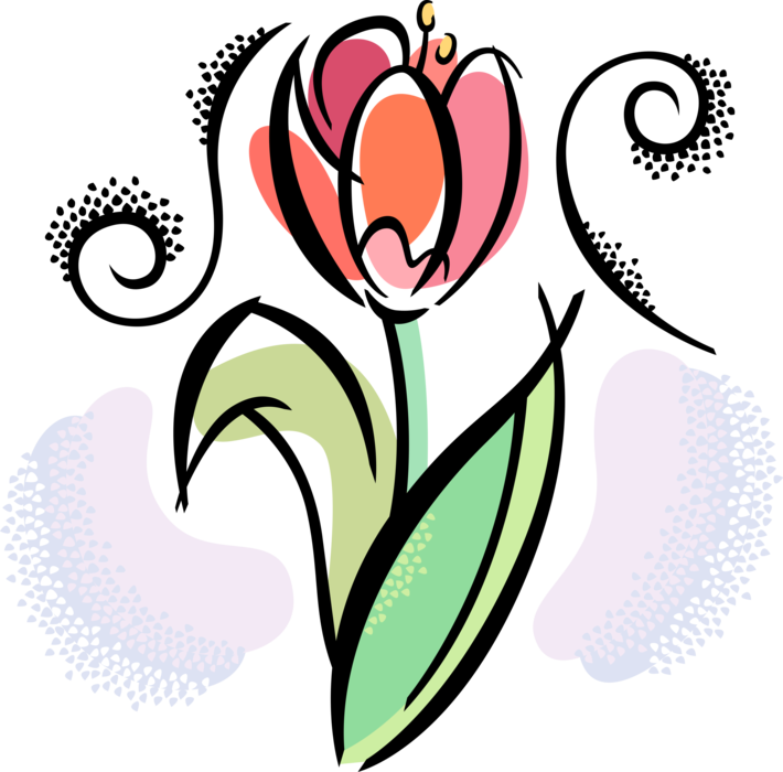 Vector Illustration Of Spring Tulip Flower In Full - Tulip Clipart (710x700)