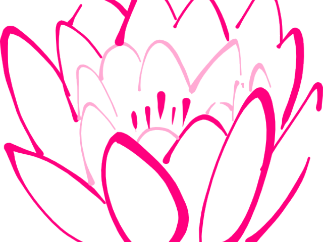 Lotus Clipart Clip Art - Flower (640x480)