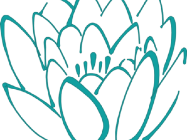 Lotus Clipart Teal - Lotus Flower Clip Art (640x480)