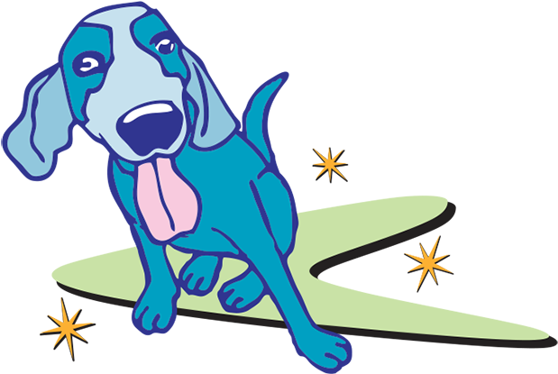 A Week And When Not At The Salon I Am Most Likely Spending - Dog Catches Something (641x414)