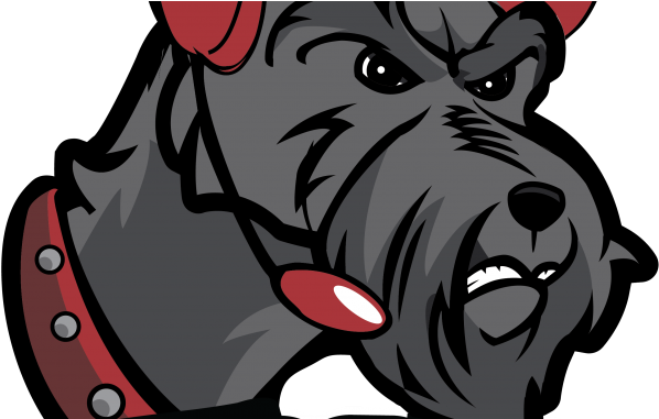 Thomas College Esports Central Maine Growth Council - Thomas College Esports (864x380)