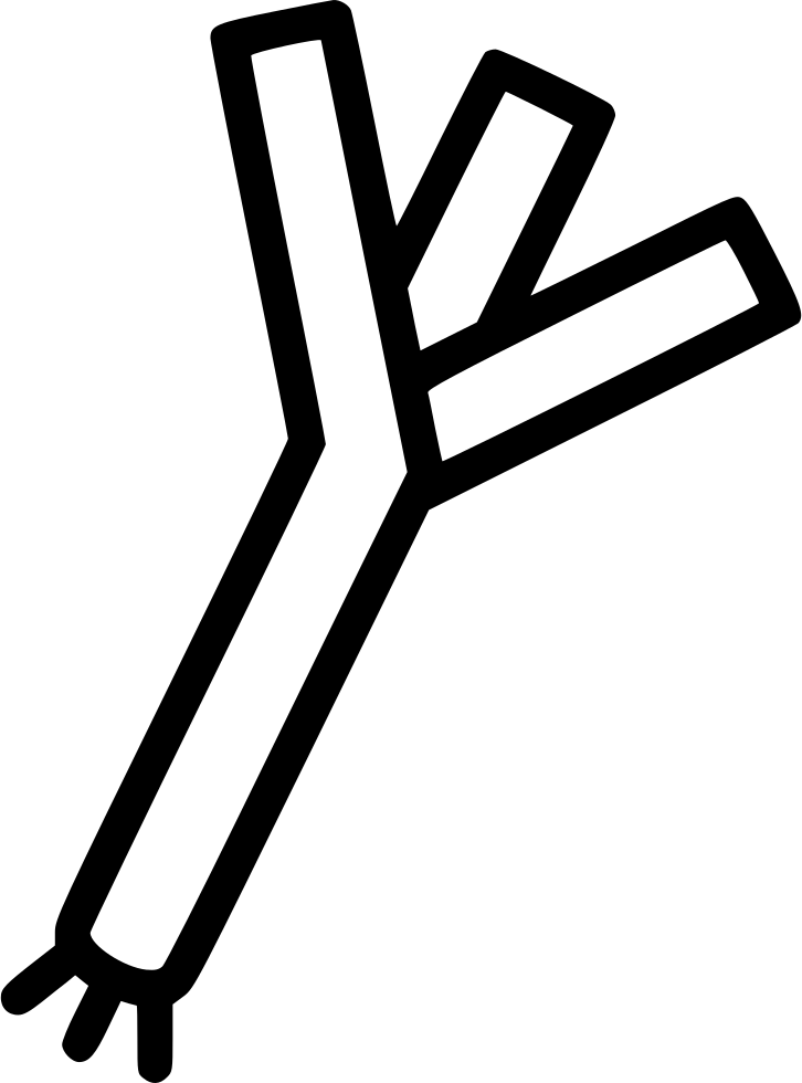 Leek Png - Leek Png (726x980)