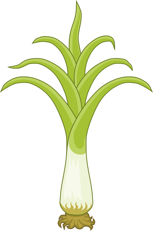 Leek Badge Of Wales - Embleme De La Grande Bretagne (509x768)