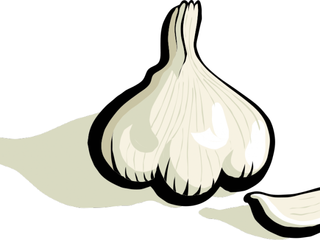 Garlic Clipart Animated - Clipart Garlic (640x480)