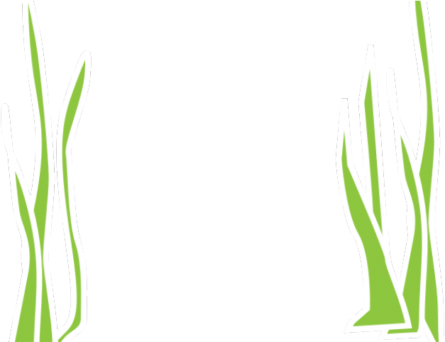 Reed Clipart Underwater - Illustration (640x480)