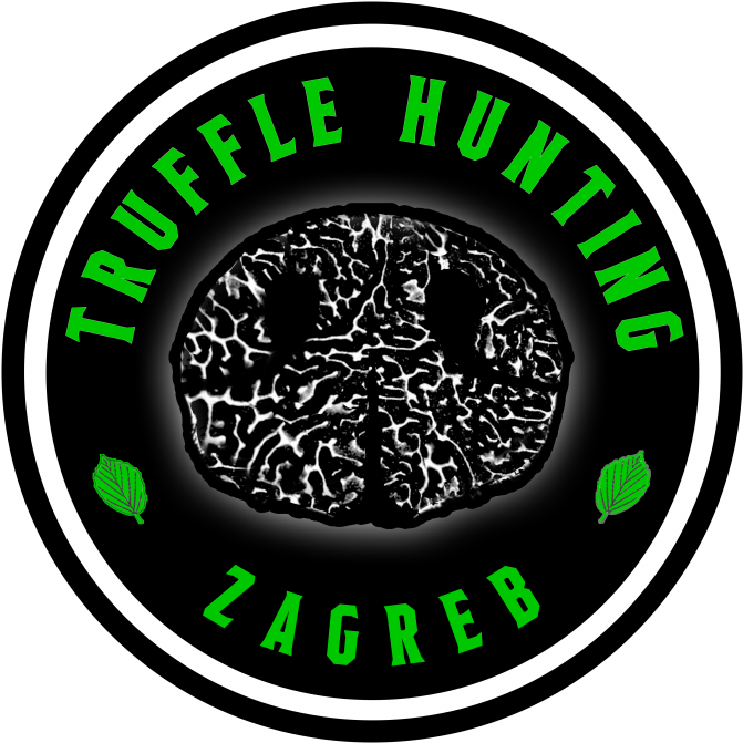 Top Zagreb Sites As Unique Truffle Experience - Virendra Swaroop Institute Of Computer Studies (800x800)