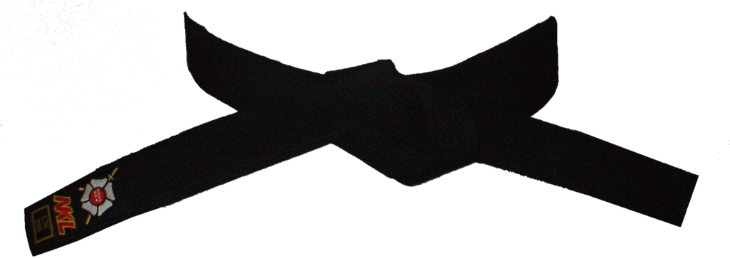 Cinturon De Judo Png (1024x390)