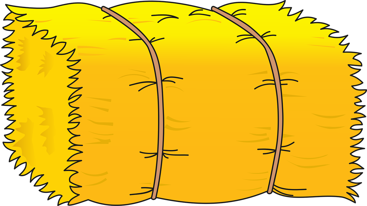 Chickens Three Farm Png Image Picpng Country Ⓒ - Hay Clipart (1280x718)