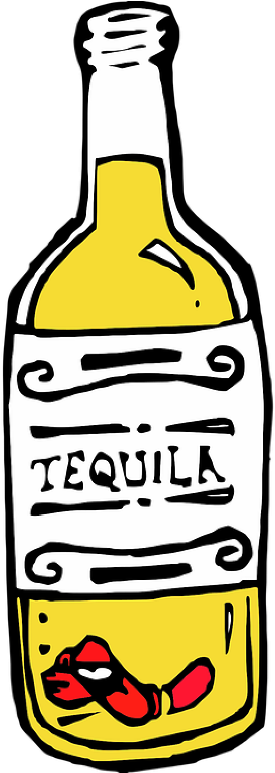 Tequila 1524007 960 720 - Liquor Bottles Clip Art (768x1536)