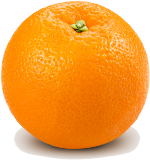 Ripe Orange (360x360)