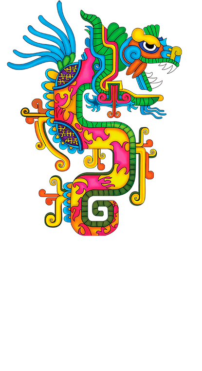 Welcome To Tequila Cabo Maya - Cabo Maya Tequila Precio (550x873)