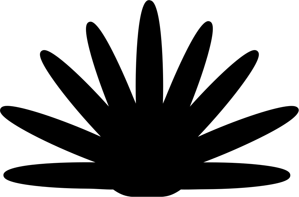 Tequila Agave Comments - Png Plant Silhouette (981x646)