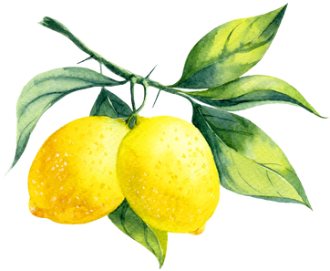 More Free Fruit Word Png Images - Watercolor Lemon Branch Png (479x319)