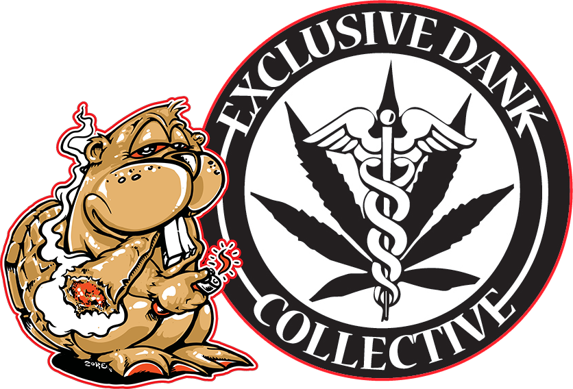 Exclusive Dank Collective - Child Welfare Society Of Kenya Logo (836x568)