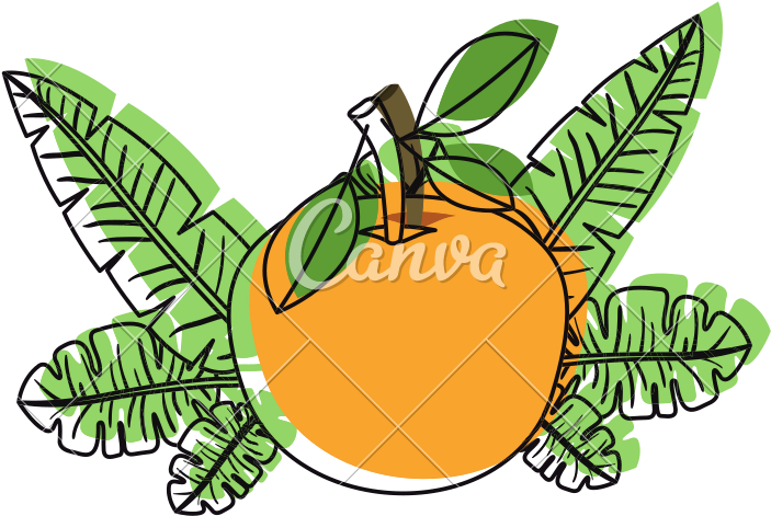 Orange With Leafs Fresh And Citrus Fruit - Illustration (800x800)