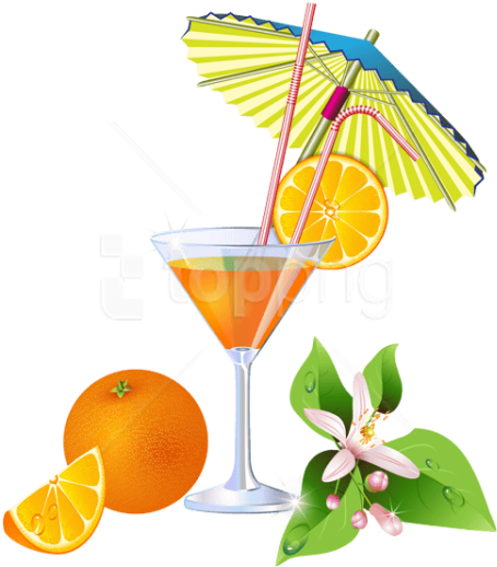 Free Png Download Cocktail Clipart Png Photo Png Images Cocktails Summer Png 480x563 Png Clipart Download