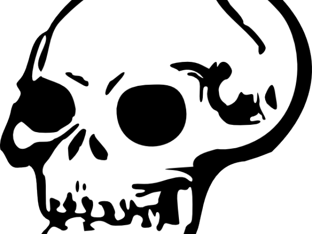 640 X 480 1 - Skull Clip Art (640x480)