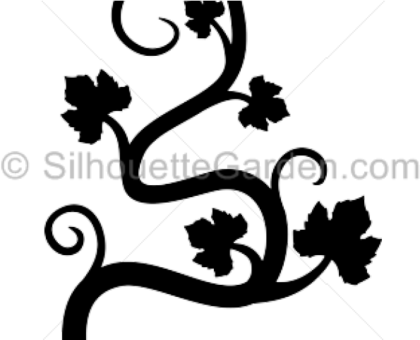 Spooky Clipart Vine - Pumpkin Vine Svg (640x480)