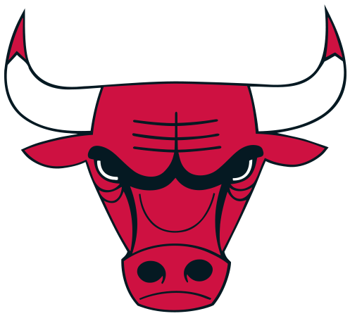Chicago - Chicago Bulls (500x500)