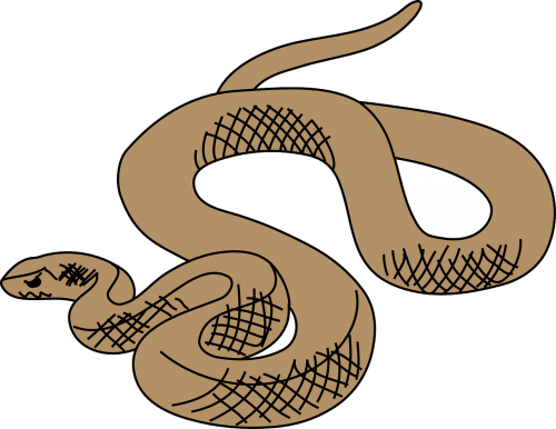 Vector Graphics - Brown Tree Snake Clip Art (500x386)