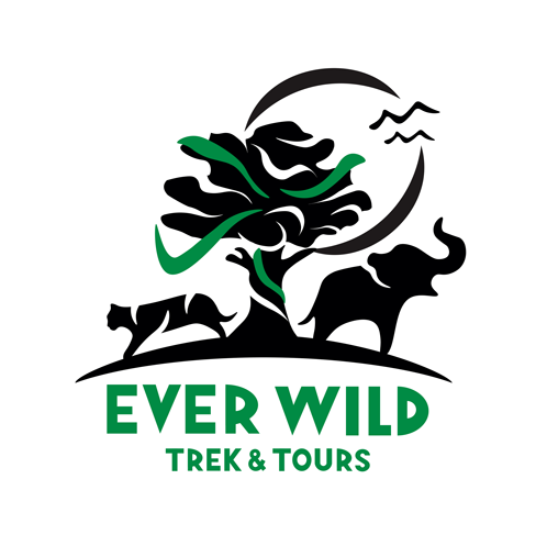 4 Night 5 Days Package Trip In Chitwan - Graphic Design (500x504)