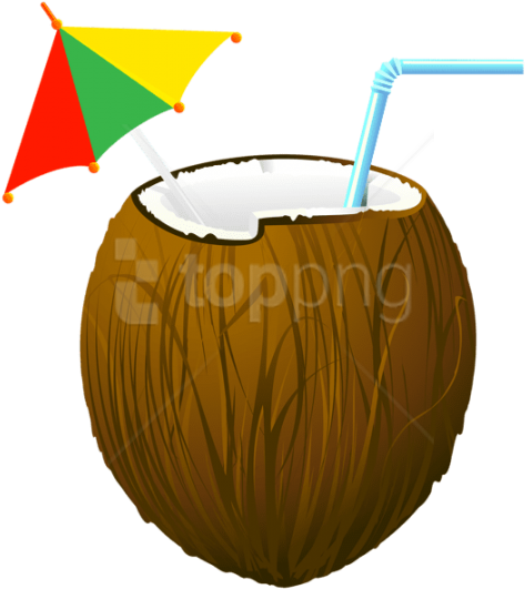 Free Png Download Coconut Cocktail Transparent Clipart - Transparent Background Coconut Clipart (480x540)