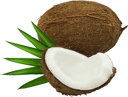 Free Clip Art Coconut - Coco Fruta En Png (620x388)