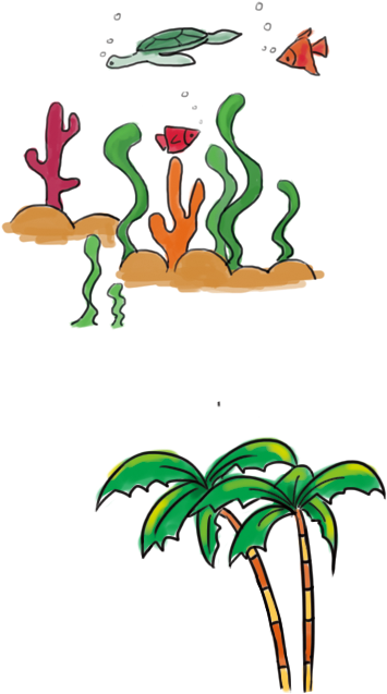 Sea Grass Clipart Sea Creature - Illustration (800x800)