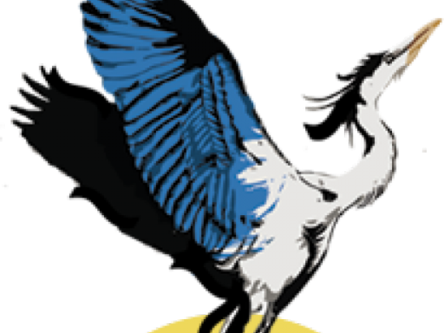 Blue Heron Clipart Transparent - Illustration (640x480)