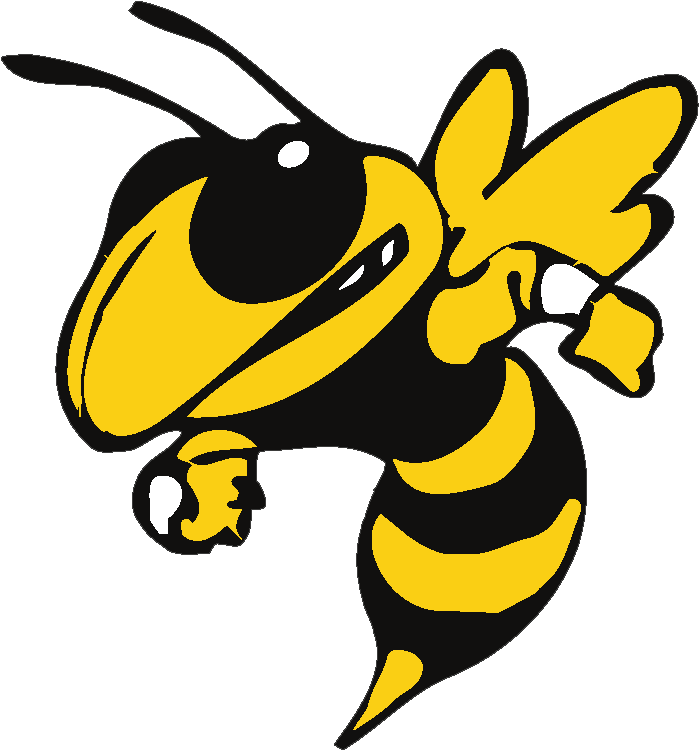 Georgia Tech Yellow Jackets Logo (776x776)