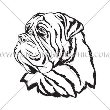 Bullmastiff - Bullmastiff Head Eps (385x385)