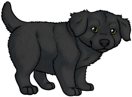 Matriarchs Haunt 0 0 Black Mastiff Puppy By Matriarchs - Ancient Dog Breeds (459x350)
