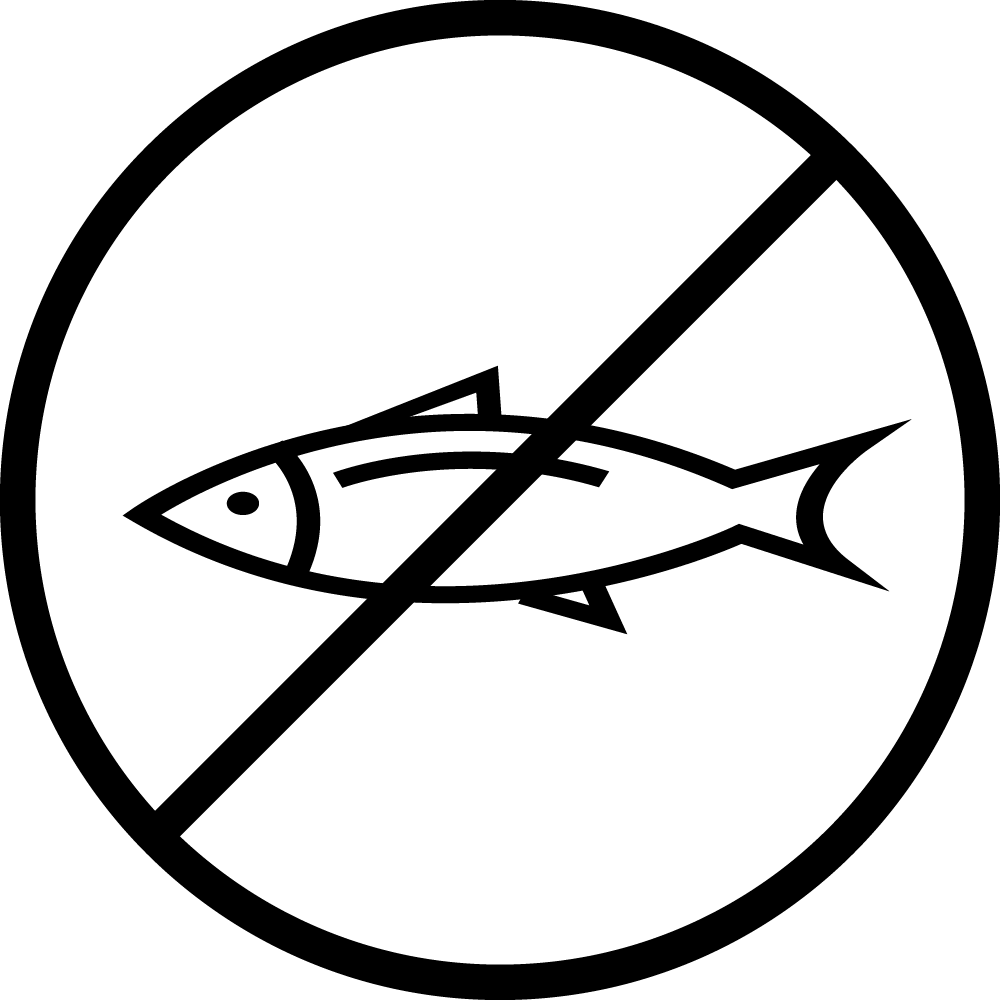 No Silli - Turned Out Feet Dance (1000x1000)