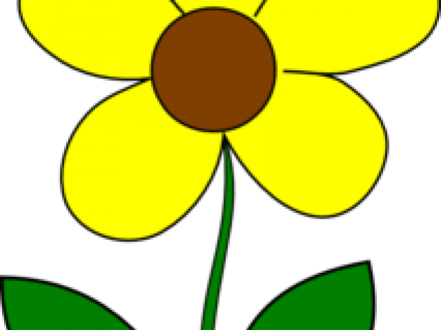 Yellow Flower Clipart Leaf Clipart - Flowers With 5 Petals Clipart (640x480)
