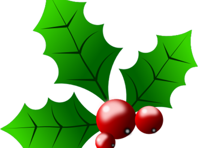 Berries Clipart Holy - Christmas Holly Clipart Transparent (640x480)