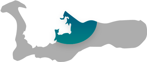 Black And White Of The Cayman Islands (585x251)