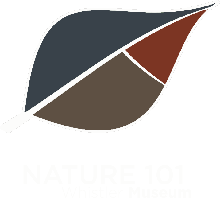 Whistler Museum - Whistler Museum (717x645)