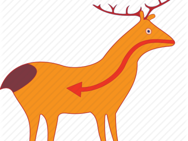 Mammal Clipart Icon - Clip Art (640x480)