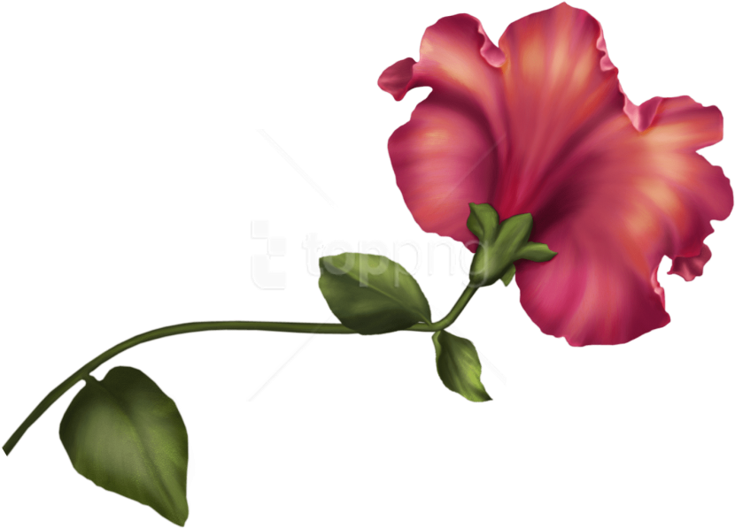 Free Png Download Vintage Flower Clipart Png Photo - Vintage Flower Clipart Png (850x615)