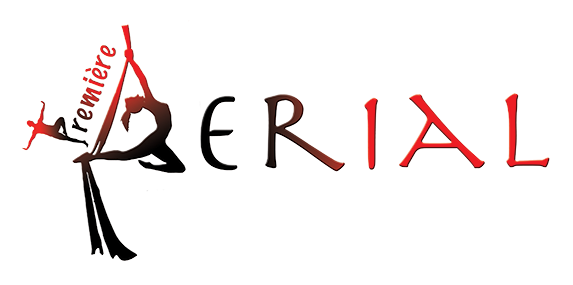 Aerial - Aerial (600x284)