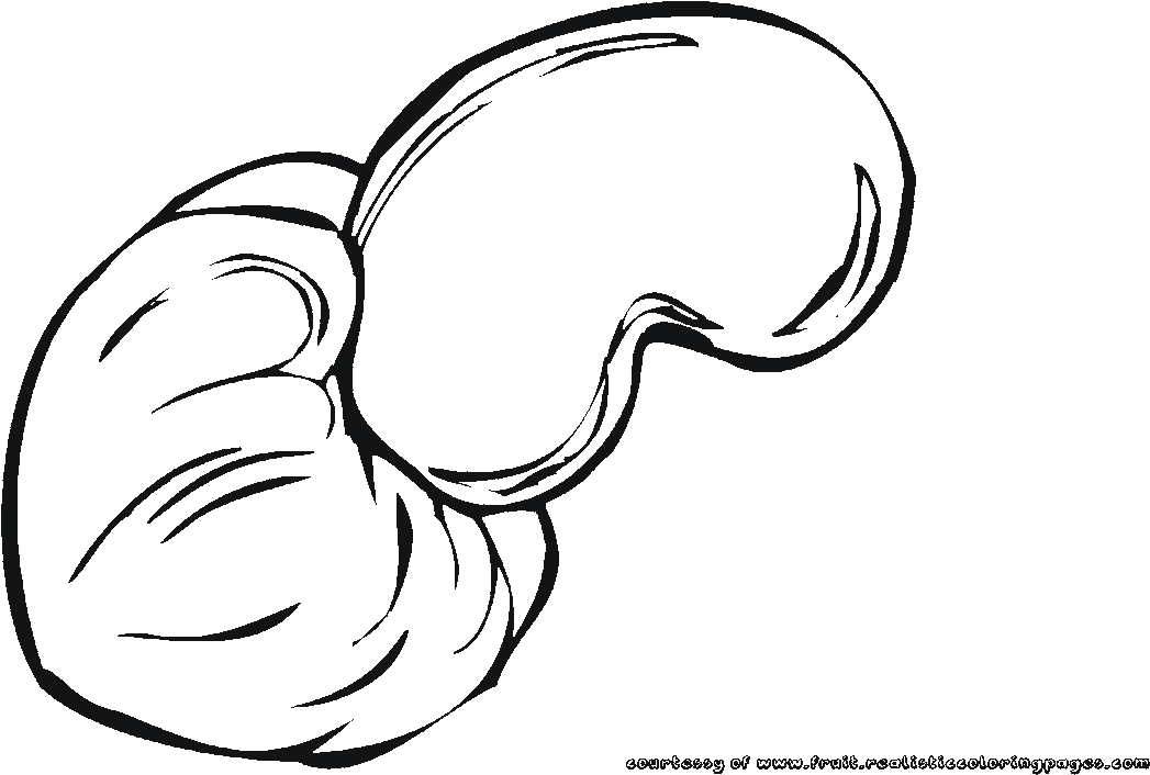 Cashew Clipart Black And White Cashew Coloring Pages - Cashew Clipart Black And White T (1280x720)
