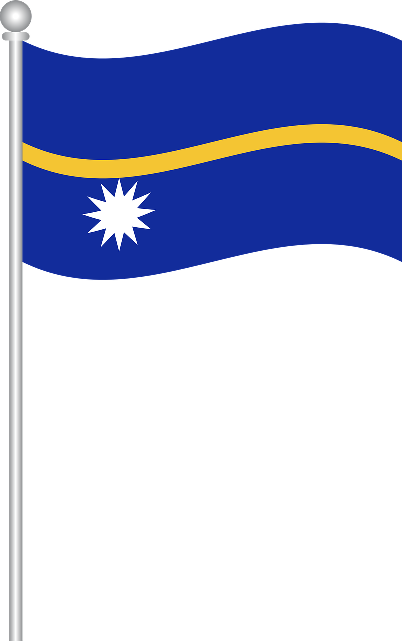 Flag Of Nauru Clipart Flag Of Nauru Flag Of Nauru - Nauru Flag Png (804x1280)