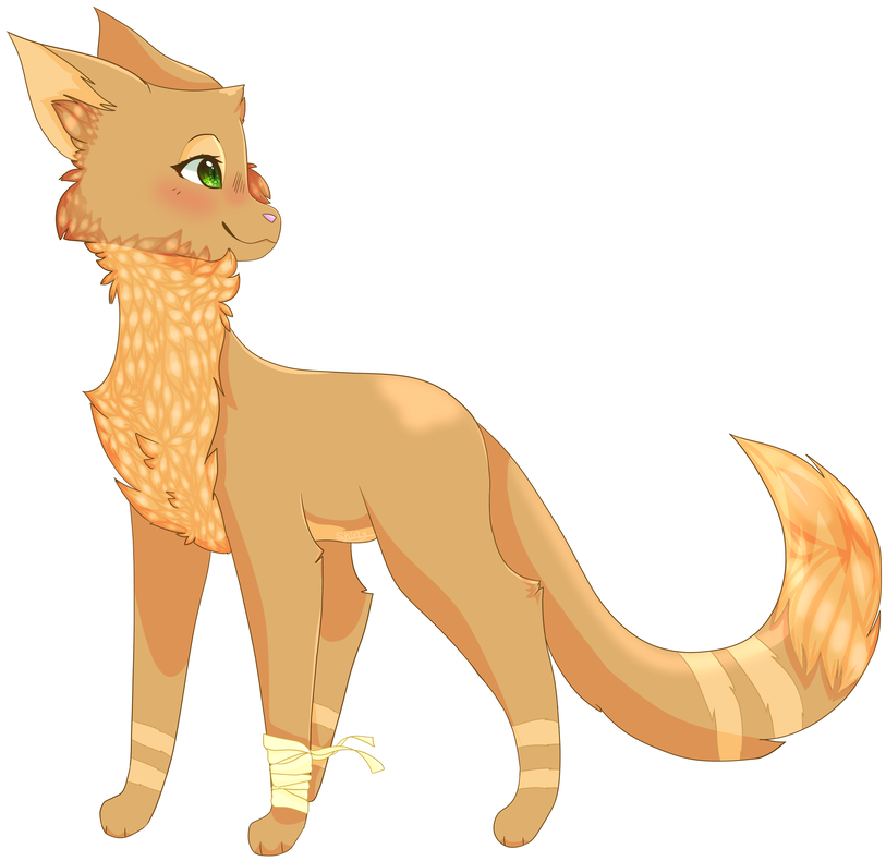 Iced Tea Art Con Entry By Shinyumbreon64 - Abyssinian (1000x799)