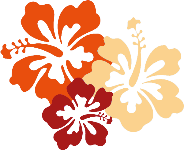 Video Of You That You Can Download For Free From This - Png Hawaii Flower (631x500)