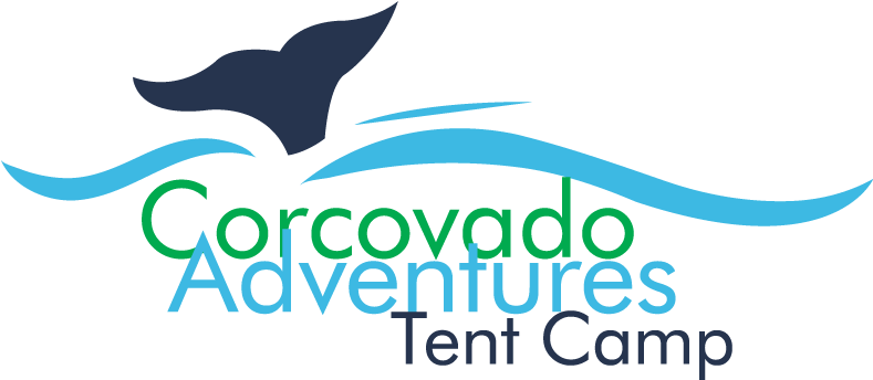 Hello And Welcome - Arc (800x361)