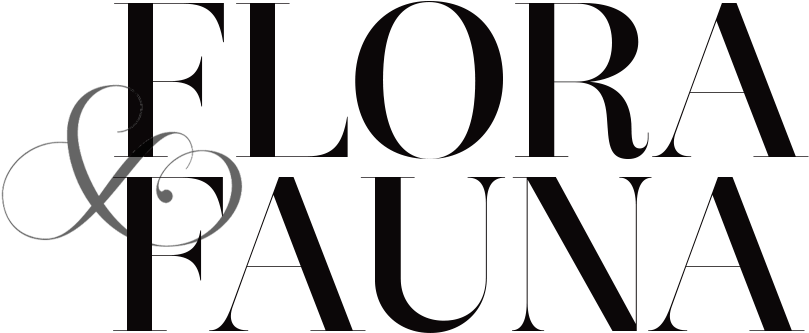 Our Purse Rooms, And The Convenience Of Seeing Acquaintances - Our Purse Rooms, And The Convenience Of Seeing Acquaintances (900x332)