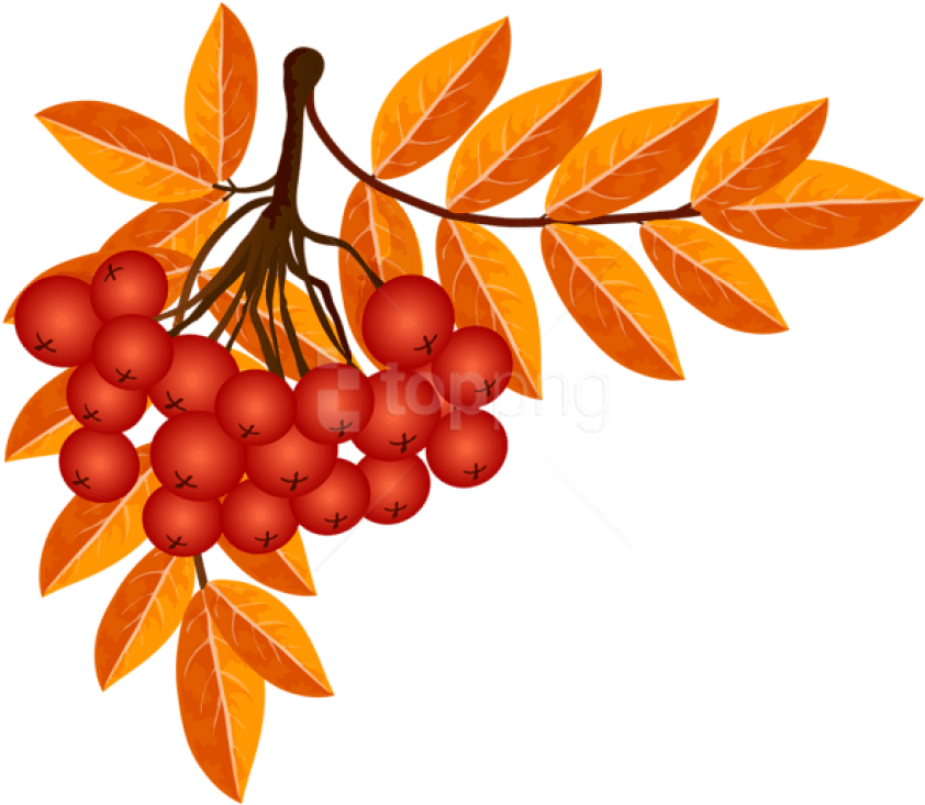 Free Png Download Fall Decoration Clipart Png Photo - Autumn Season Clipart Kindergarten (850x740)