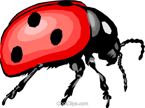 Ladybug Royalty Free Vector Clip Art Illustration - Ladybug Royalty Free Vector Clip Art Illustration (480x358)